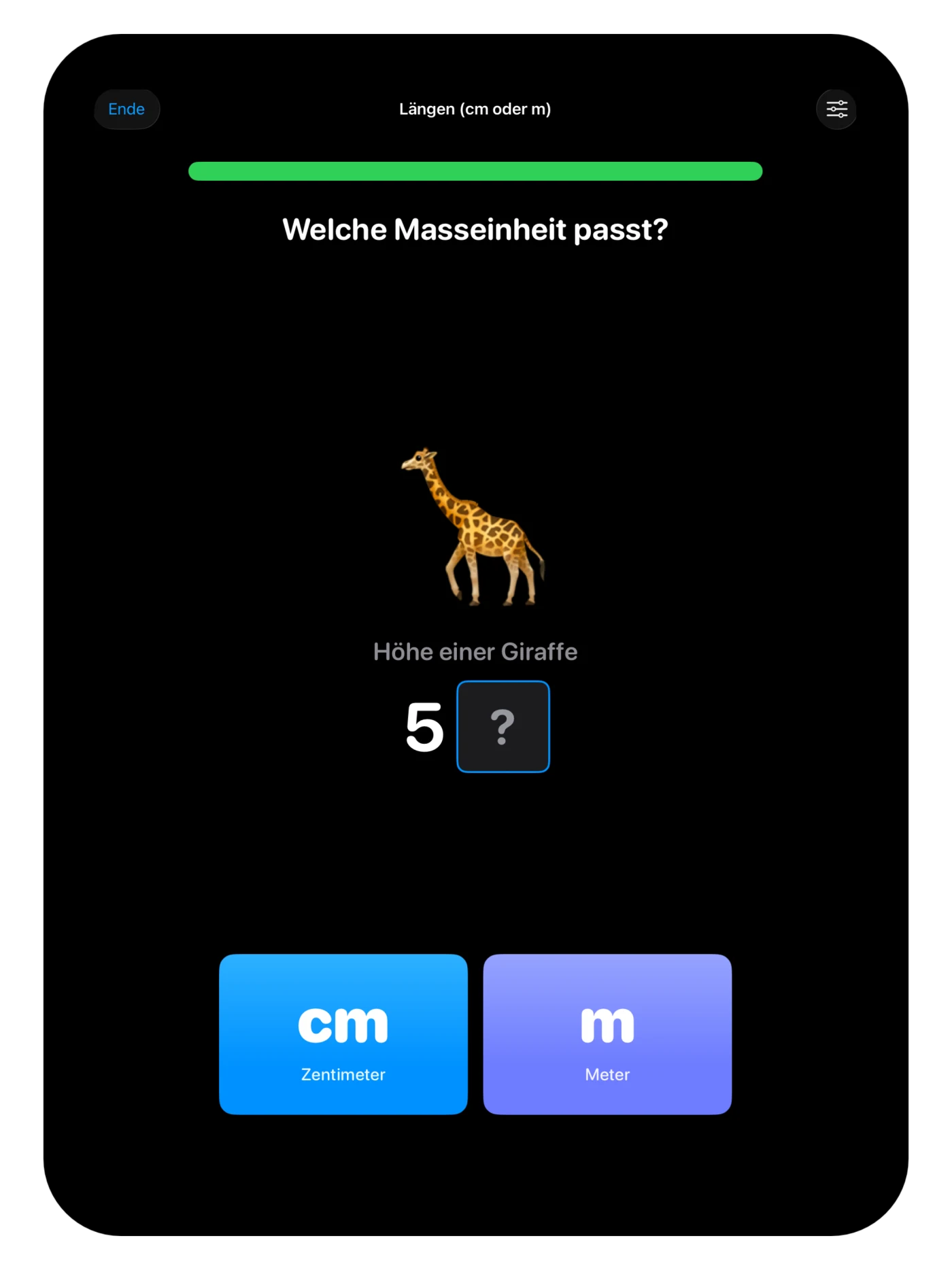 Passende Masseinheit wählen